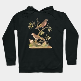 Pair of Birds Vintage Nature Illustration Hoodie